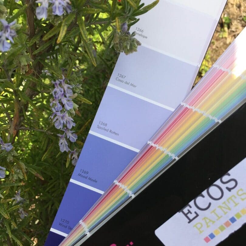 ECOS Paint Color Inspiration