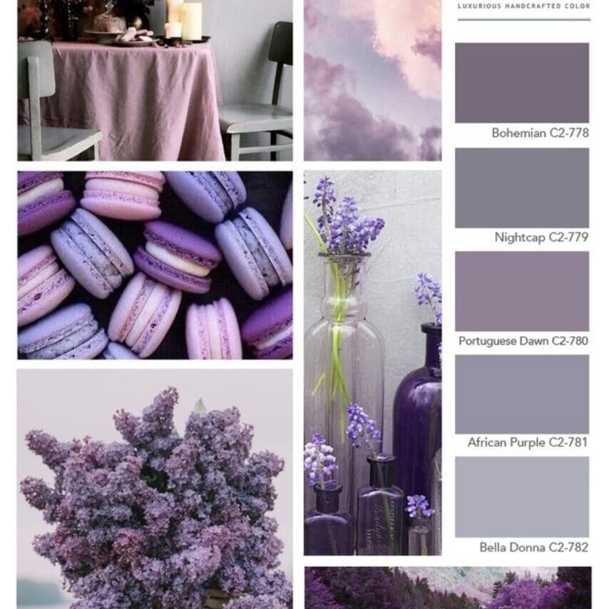 C2 Paint | Lilac Purple Gray Paint Color Palette.