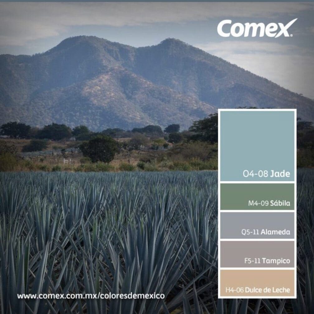 Comex Colors of Mexico. All Los Angeles Painting Company, Inc.