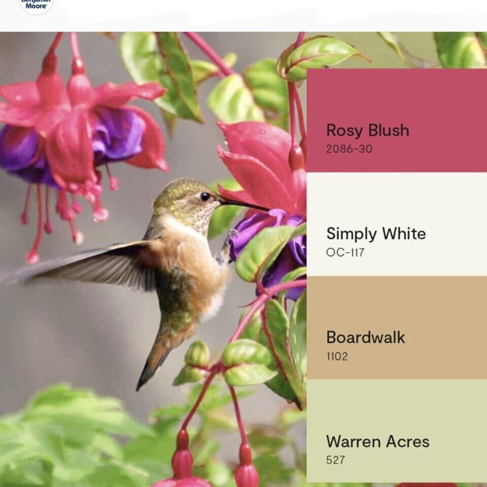 Benjamin Moore Hummingbird Inspired Color Palette. All Los Angeles Painting Company, Inc.