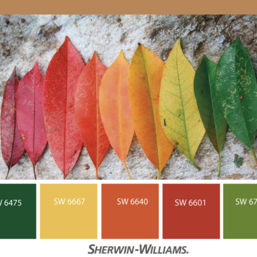 Decorating with Sherwin Williams Autumn Leaf color inspiration provides a warm and inviting feeling to any design scheme.