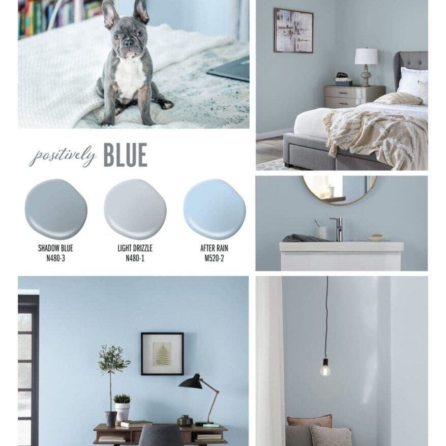 Behr Trending Blue Paint Colors.