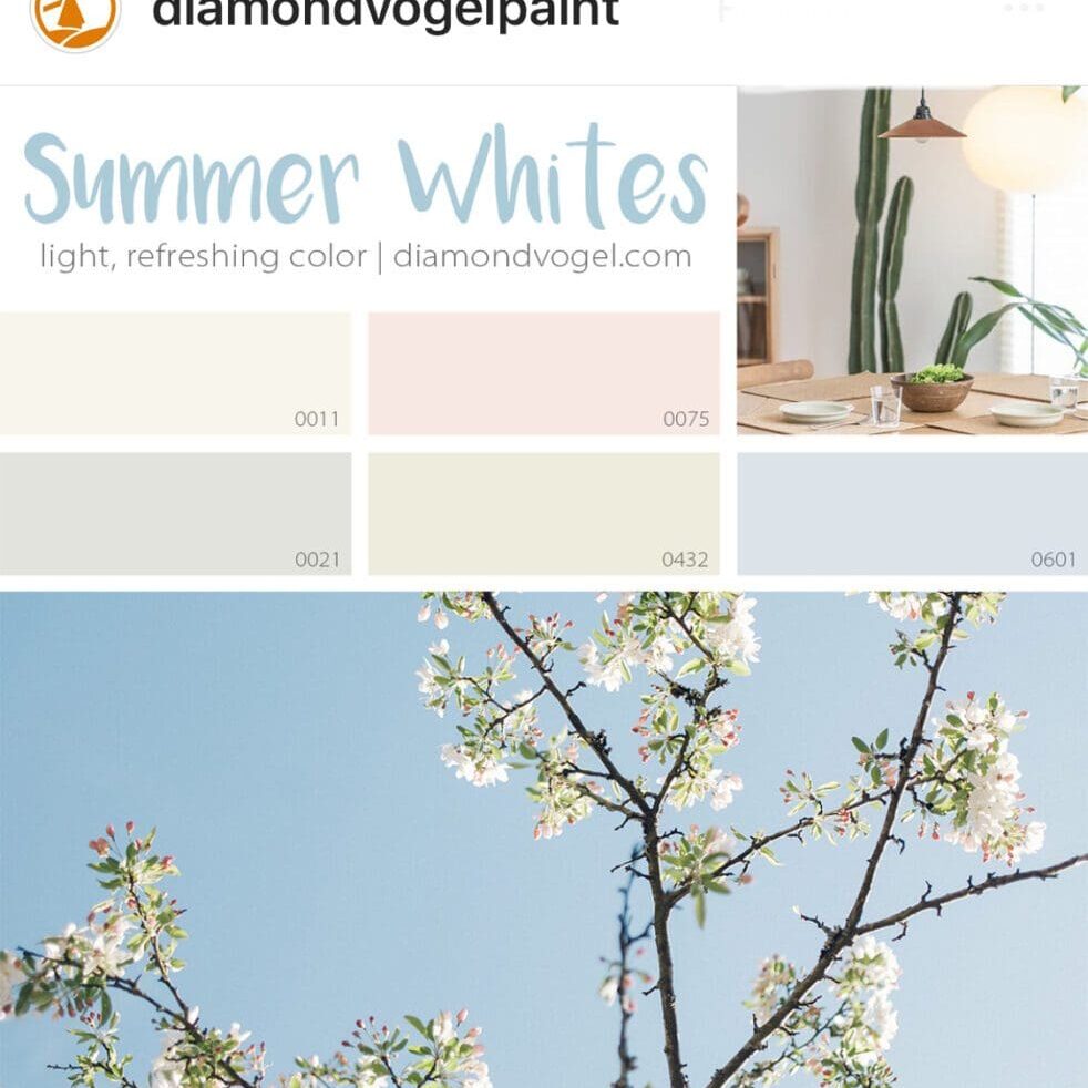 Diamond-Vogel-Summer-Whites