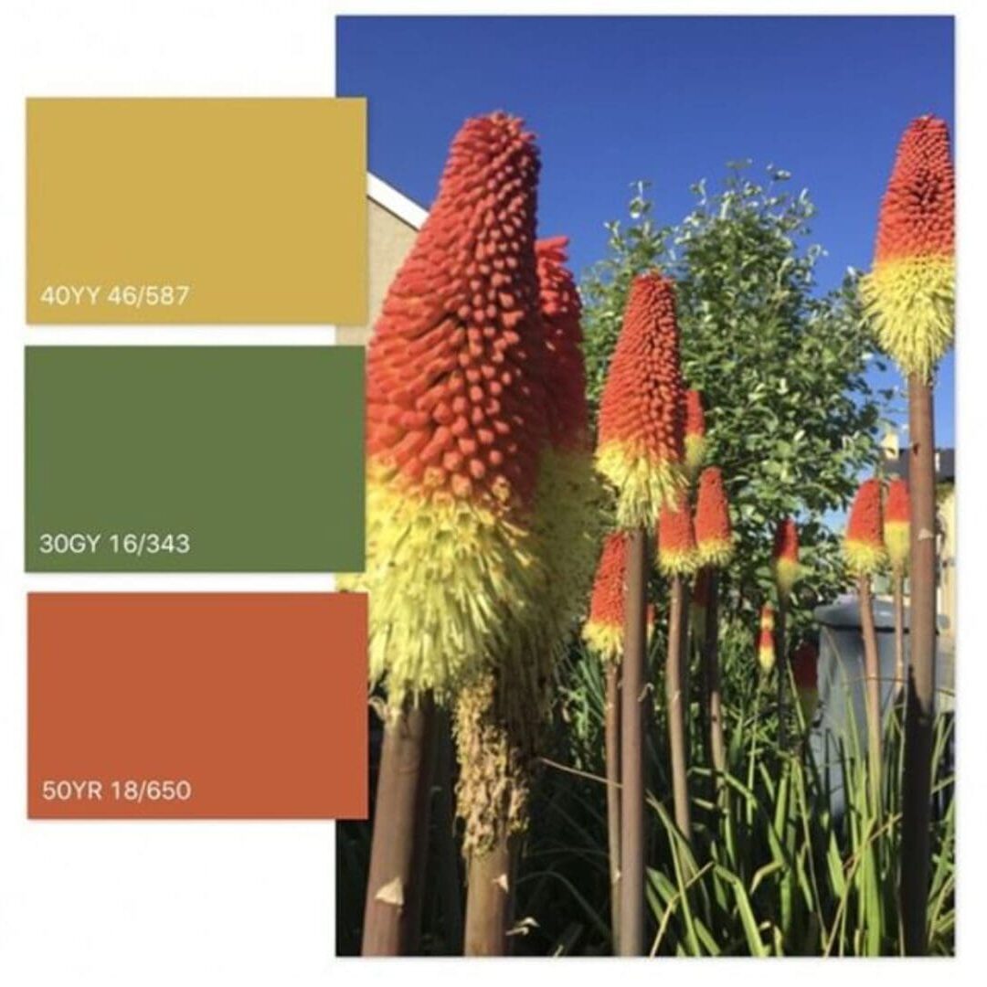 Dulux-Natural-Color-Inspiration