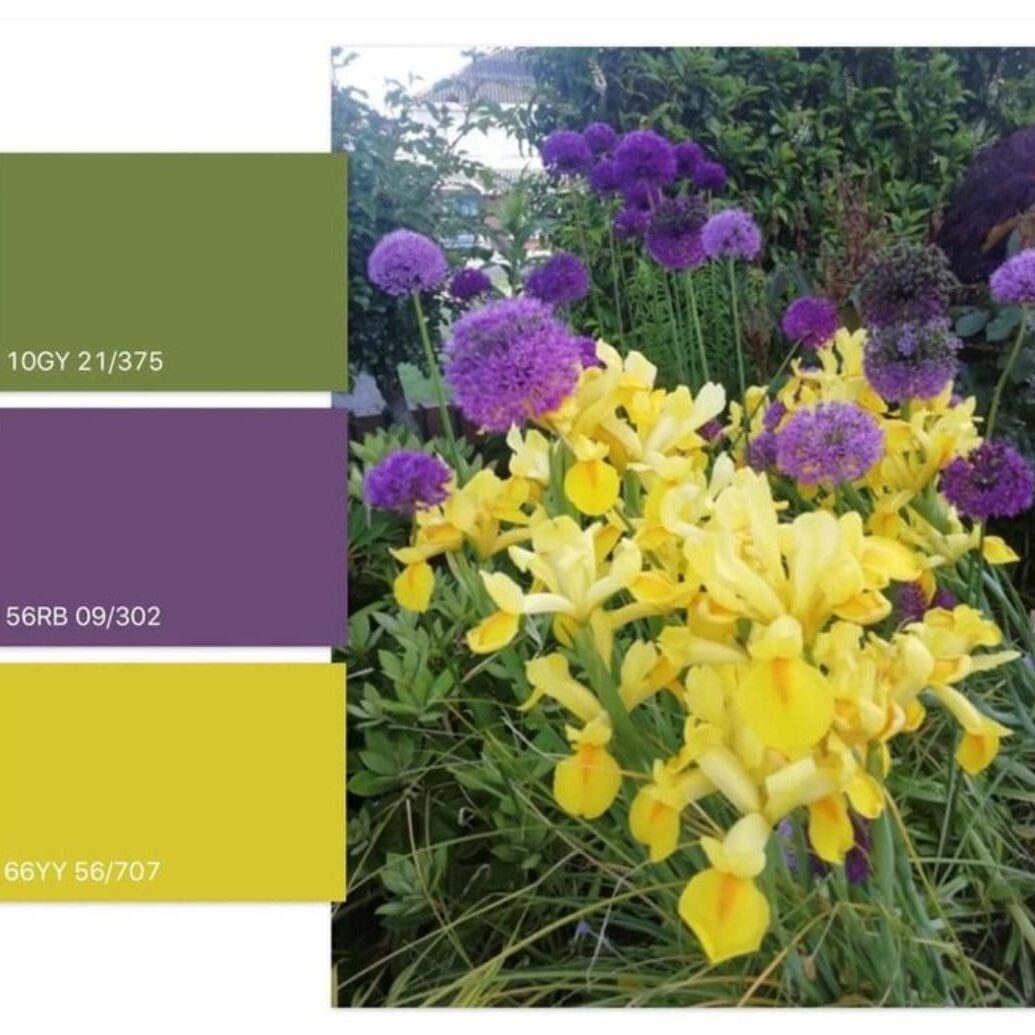 Dulux | Irish Garden in Bloom