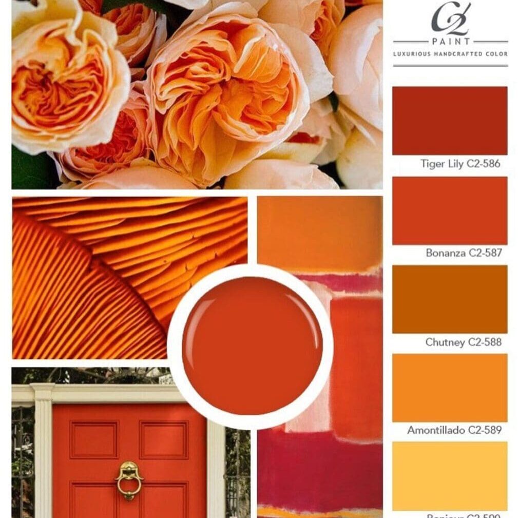 C2 Paint Orange Color Palette. C2 Paint Orange Color Palette.