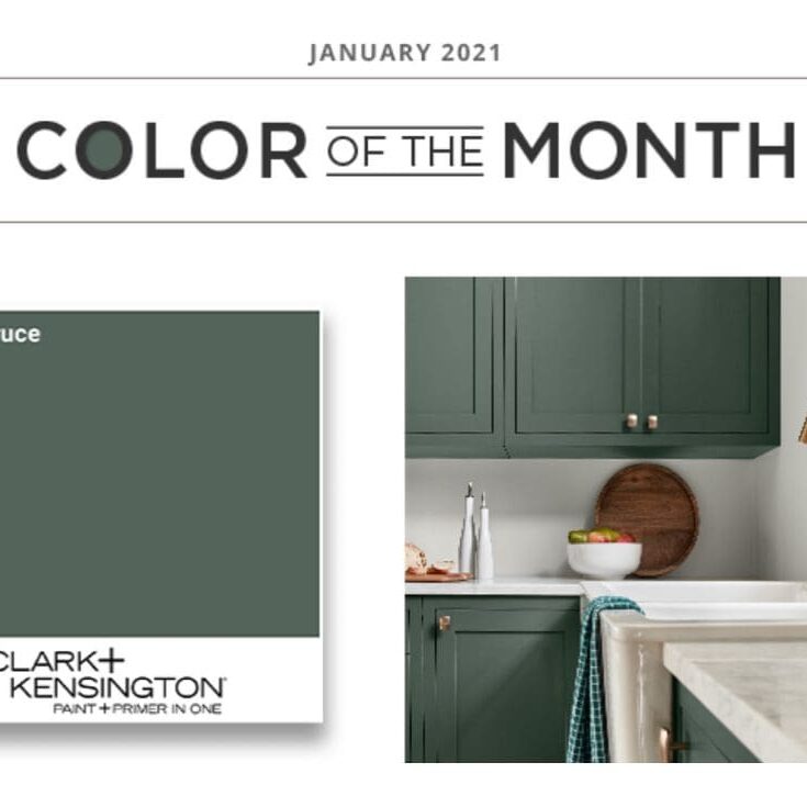 Clark+Kensington January 2021 Color of the Month