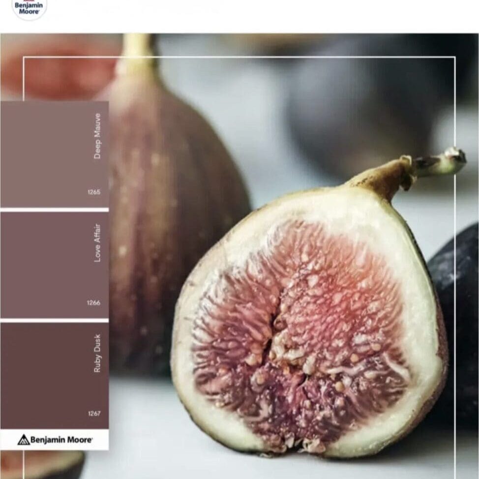 Fruit Inspired Paint Color Palette. Fruit Inspired Paint Color Palette.